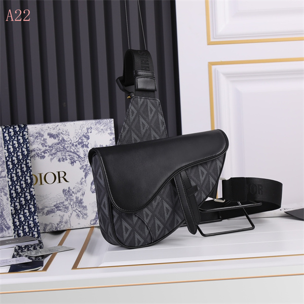 Dior Bags AAA 084